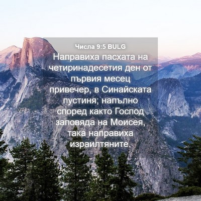 Picture 04 - Числа 9:5 BULG - Направиха пасхата на - Bible Verse Picture