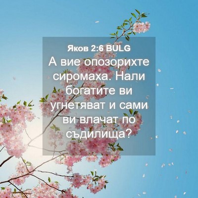 Picture 04 - Яков 2:6 BULG - А вие опозорихте сиромаха. - Bible Verse Picture
