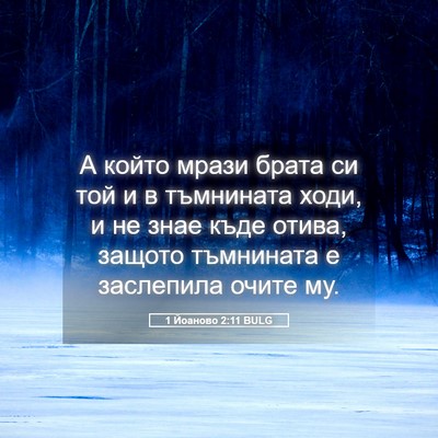 Picture 05 - 1 Йоаново 2:11 BULG - А който мрази брата си той - Bible Verse Picture