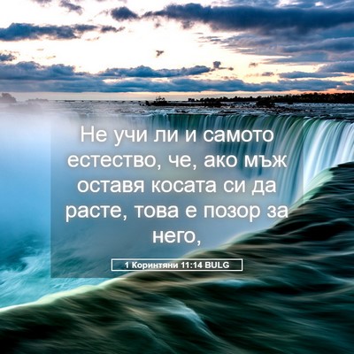 Picture 05 - 1 Коринтяни 11:14 BULG - Не учи ли и самото - Bible Verse Picture