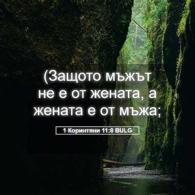 Picture 05 - 1 Коринтяни 11:8 BULG - (Защото мъжът не е от - Bible Verse Picture