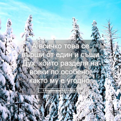 Picture 05 - 1 Коринтяни 12:11 BULG - А всичко това се върши от - Bible Verse Picture