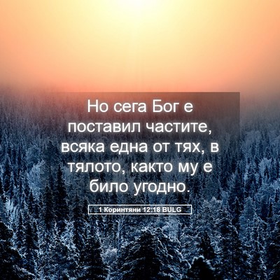 Picture 05 - 1 Коринтяни 12:18 BULG - Но сега Бог е поставил - Bible Verse Picture
