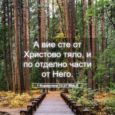 Picture 05 - 1 Коринтяни 12:27 BULG - А вие сте от Христово тяло, - Bible Verse Picture