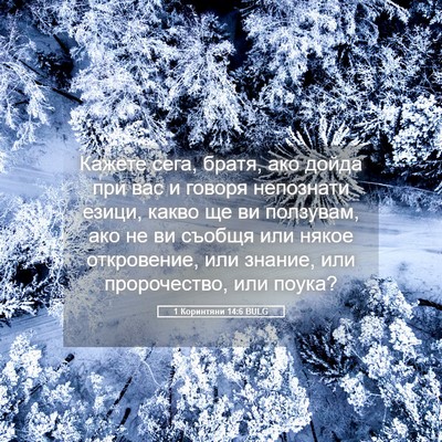 Picture 05 - 1 Коринтяни 14:6 BULG - Кажете сега, братя, ако - Bible Verse Picture