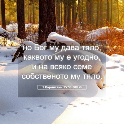 Picture 05 - 1 Коринтяни 15:38 BULG - но Бог му дава тяло, - Bible Verse Picture
