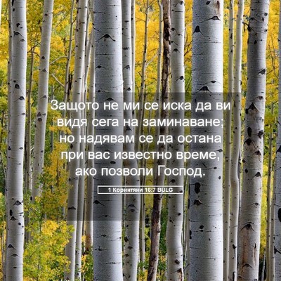 Picture 05 - 1 Коринтяни 16:7 BULG - Защото не ми се иска да ви - Bible Verse Picture