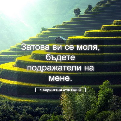 Picture 05 - 1 Коринтяни 4:16 BULG - Затова ви се моля, бъдете - Bible Verse Picture