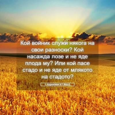 Picture 05 - 1 Коринтяни 9:7 BULG - Кой войник служи някога на - Bible Verse Picture