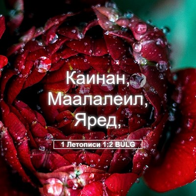 Picture 05 - 1 Летописи 1:2 BULG - Каинан, Маалалеил, - Bible Verse Picture
