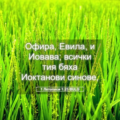 Picture 05 - 1 Летописи 1:23 BULG - Офира, Евила, и Иовава; - Bible Verse Picture