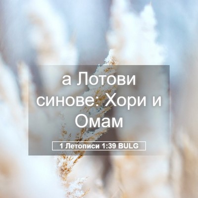 Picture 05 - 1 Летописи 1:39 BULG - а Лотови синове: Хори и - Bible Verse Picture
