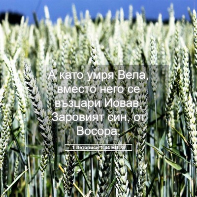 Picture 05 - 1 Летописи 1:44 BULG - А като умря Вела, вместо - Bible Verse Picture