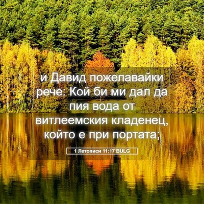 Picture 05 - 1 Летописи 11:17 BULG - и Давид пожелавайки рече: - Bible Verse Picture