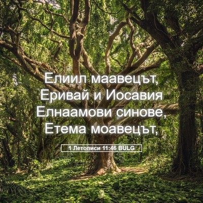 Picture 05 - 1 Летописи 11:46 BULG - Елиил маавецът, Еривай и - Bible Verse Picture