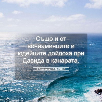 Picture 05 - 1 Летописи 12:16 BULG - Също и от вениаминците и - Bible Verse Picture