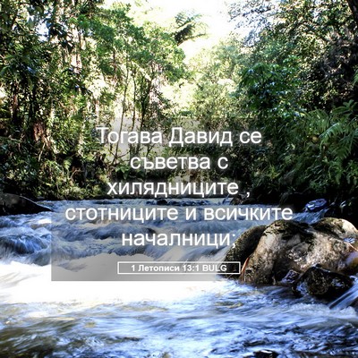 Picture 05 - 1 Летописи 13:1 BULG - Тогава Давид се съветва с - Bible Verse Picture