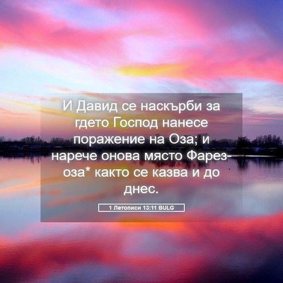 Picture 05 - 1 Летописи 13:11 BULG - И Давид се наскърби за - Bible Verse Picture