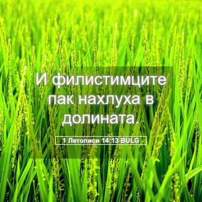 Picture 05 - 1 Летописи 14:13 BULG - И филистимците пак нахлуха - Bible Verse Picture