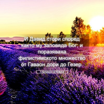 Picture 05 - 1 Летописи 14:16 BULG - И Давид стори според както - Bible Verse Picture