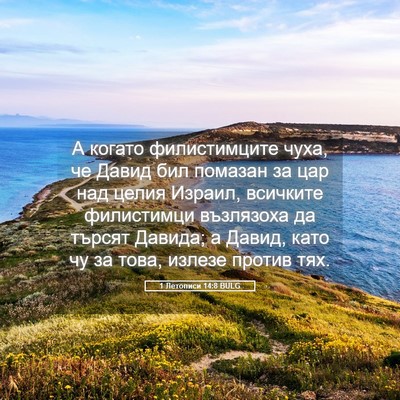 Picture 05 - 1 Летописи 14:8 BULG - А когато филистимците - Bible Verse Picture
