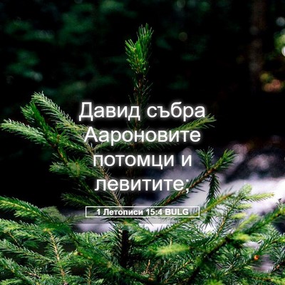 Picture 05 - 1 Летописи 15:4 BULG - Давид събра Аароновите - Bible Verse Picture