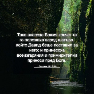 Picture 05 - 1 Летописи 16:1 BULG - Така внесоха Божия ковчег - Bible Verse Picture