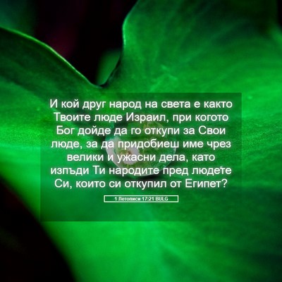 Picture 05 - 1 Летописи 17:21 BULG - И кой друг народ на света е - Bible Verse Picture