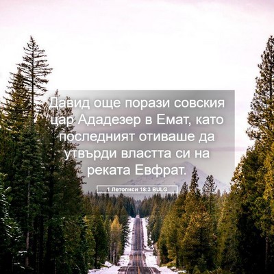 Picture 05 - 1 Летописи 18:3 BULG - Давид още порази совския - Bible Verse Picture