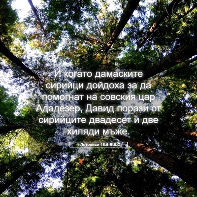 Picture 05 - 1 Летописи 18:5 BULG - И когато дамаските сирийци - Bible Verse Picture