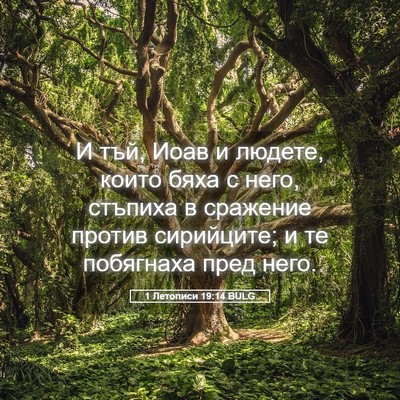 Picture 05 - 1 Летописи 19:14 BULG - И тъй, Иоав и людете, които - Bible Verse Picture