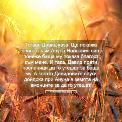 Picture 05 - 1 Летописи 19:2 BULG - Тогава Давид каза: Ще - Bible Verse Picture