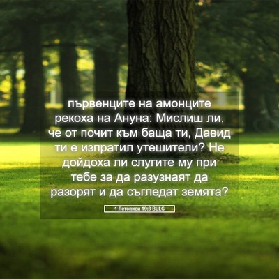 Picture 05 - 1 Летописи 19:3 BULG - първенците на амонците - Bible Verse Picture