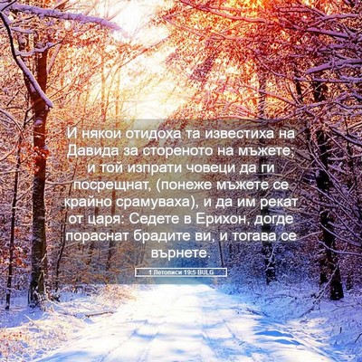 Picture 05 - 1 Летописи 19:5 BULG - И някои отидоха та - Bible Verse Picture