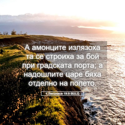 Picture 05 - 1 Летописи 19:9 BULG - А амонците излязоха та се - Bible Verse Picture