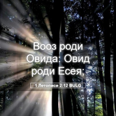 Picture 05 - 1 Летописи 2:12 BULG - Вооз роди Овида: Овид роди - Bible Verse Picture