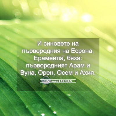 Picture 05 - 1 Летописи 2:25 BULG - И синовете на първородния - Bible Verse Picture