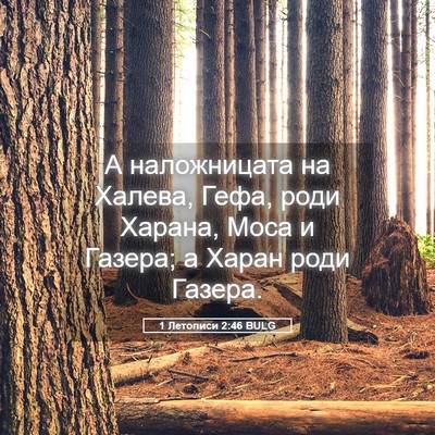 Picture 05 - 1 Летописи 2:46 BULG - А наложницата на Халева, - Bible Verse Picture