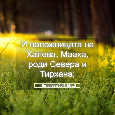 Picture 05 - 1 Летописи 2:48 BULG - И наложницата на Халева, - Bible Verse Picture