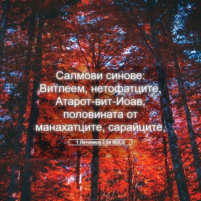 Picture 05 - 1 Летописи 2:54 BULG - Салмови синове: Витлеем, - Bible Verse Picture