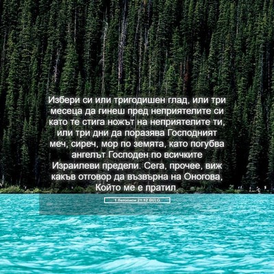 Picture 05 - 1 Летописи 21:12 BULG - Избери си или тригодишен - Bible Verse Picture