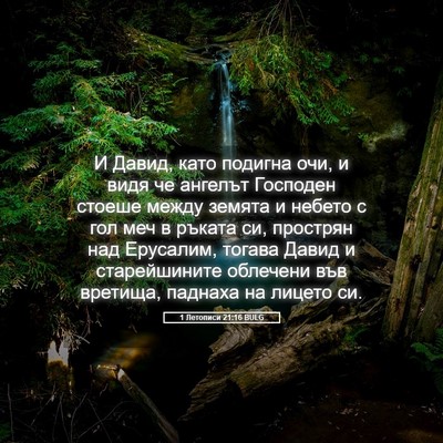 Picture 05 - 1 Летописи 21:16 BULG - И Давид, като подигна очи, и - Bible Verse Picture