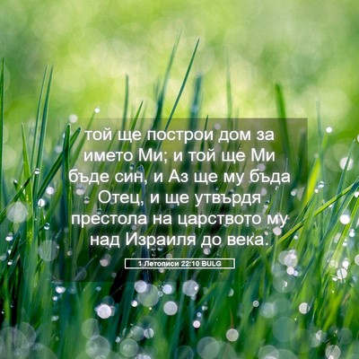 Picture 05 - 1 Летописи 22:10 BULG - той ще построи дом за името - Bible Verse Picture
