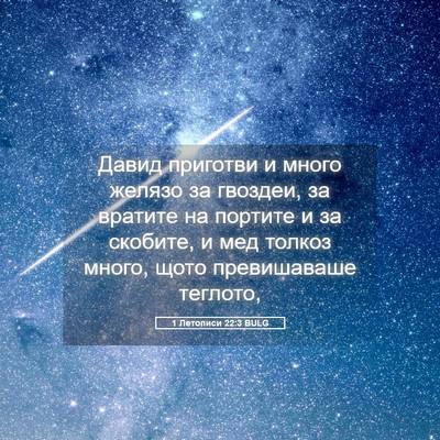 Picture 05 - 1 Летописи 22:3 BULG - Давид приготви и много - Bible Verse Picture