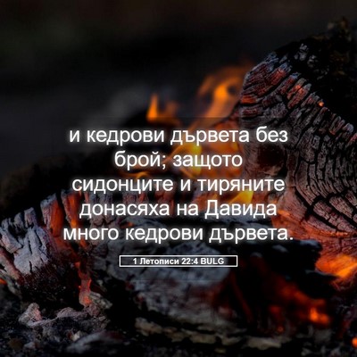 Picture 05 - 1 Летописи 22:4 BULG - и кедрови дървета без брой; - Bible Verse Picture