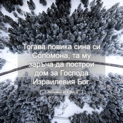 Picture 05 - 1 Летописи 22:6 BULG - Тогава повика сина си - Bible Verse Picture