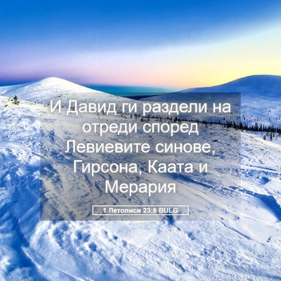 Picture 05 - 1 Летописи 23:6 BULG - И Давид ги раздели на - Bible Verse Picture