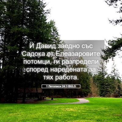Picture 05 - 1 Летописи 24:3 BULG - И Давид заедно със Садока - Bible Verse Picture
