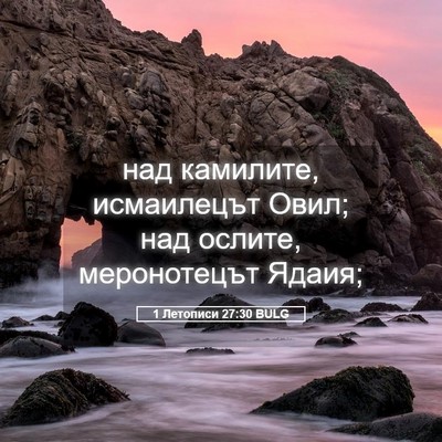 Picture 05 - 1 Летописи 27:30 BULG - над камилите, исмаилецът - Bible Verse Picture