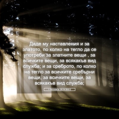 Picture 05 - 1 Летописи 28:14 BULG - Даде му наставления и за - Bible Verse Picture
